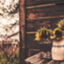 id:matsukimifune