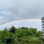 id:mayakamama