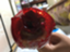 id:mazai