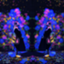 id:mciSF