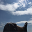 id:mdyh2a380824