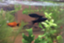 id:meisyu3ie