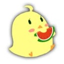 id:melodyflag1224