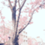 id:meoto_dokuritu
