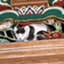 id:mgmg580