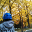 id:michipapa