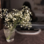 id:mikoonoda0120136