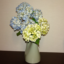 id:milkwhitepear
