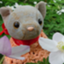 id:mimifufu