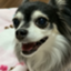 id:mimomimomimo