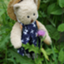 id:mimoroblog