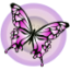 id:minne7ate9designs