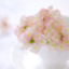 id:miryokuteki
