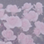 id:mismisimos