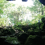 id:mityanga