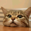 id:miyajiro39