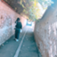 id:mocotabii