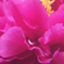 id:moistbeauty