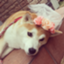 id:momomarumikan