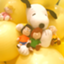 id:monkey50-2019