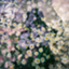 id:monogatariwoyomuhito