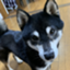 id:morimori0456