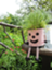 id:morinotuki