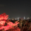 id:moritakaS