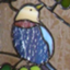 id:morituki_nao