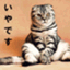 もさお
