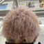 id:moyashi_042710