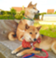 id:msato0202