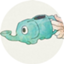 id:msms_zzz