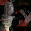 id:mujakimaru