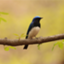 id:nagano-travel