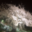 id:naganuma514