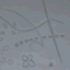 naikousei
