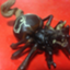 id:nakashima-eiji0083