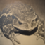 id:namaribito