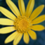 id:nana-asaba