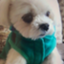 id:naomaru0624