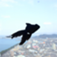 id:naoweblog