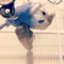 id:navimacofuku