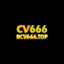 ncv666top