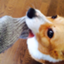 id:negi_musume