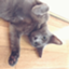 id:nekomaman