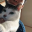 id:nekonoonaka