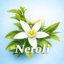 id:neroli-no-asa