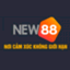 new88contact