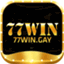 Trang chủ 77WIN